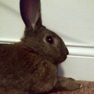 Meet your Posher, Latonya